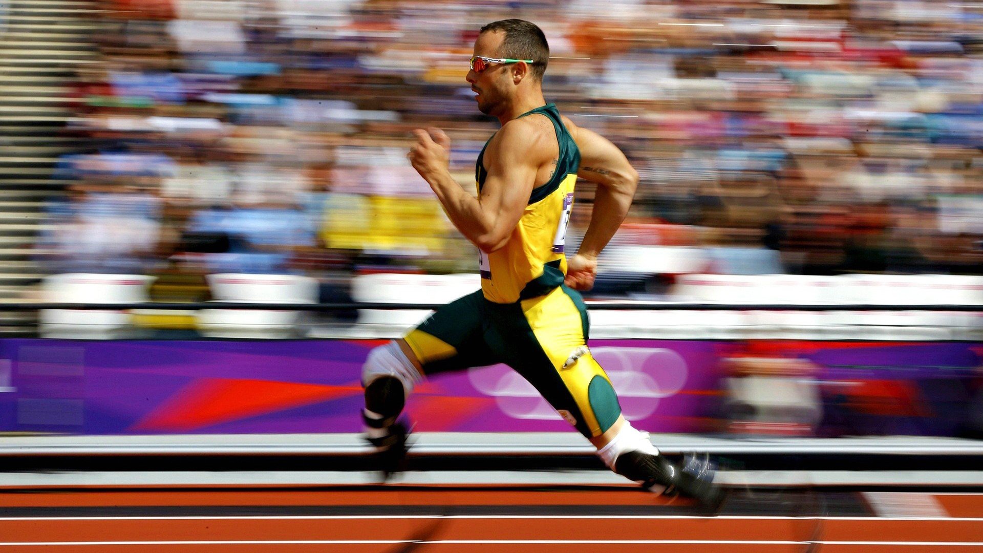 球迷风采：粉丝的热情应援点燃赛场，球迷粉丝怎么称呼好听