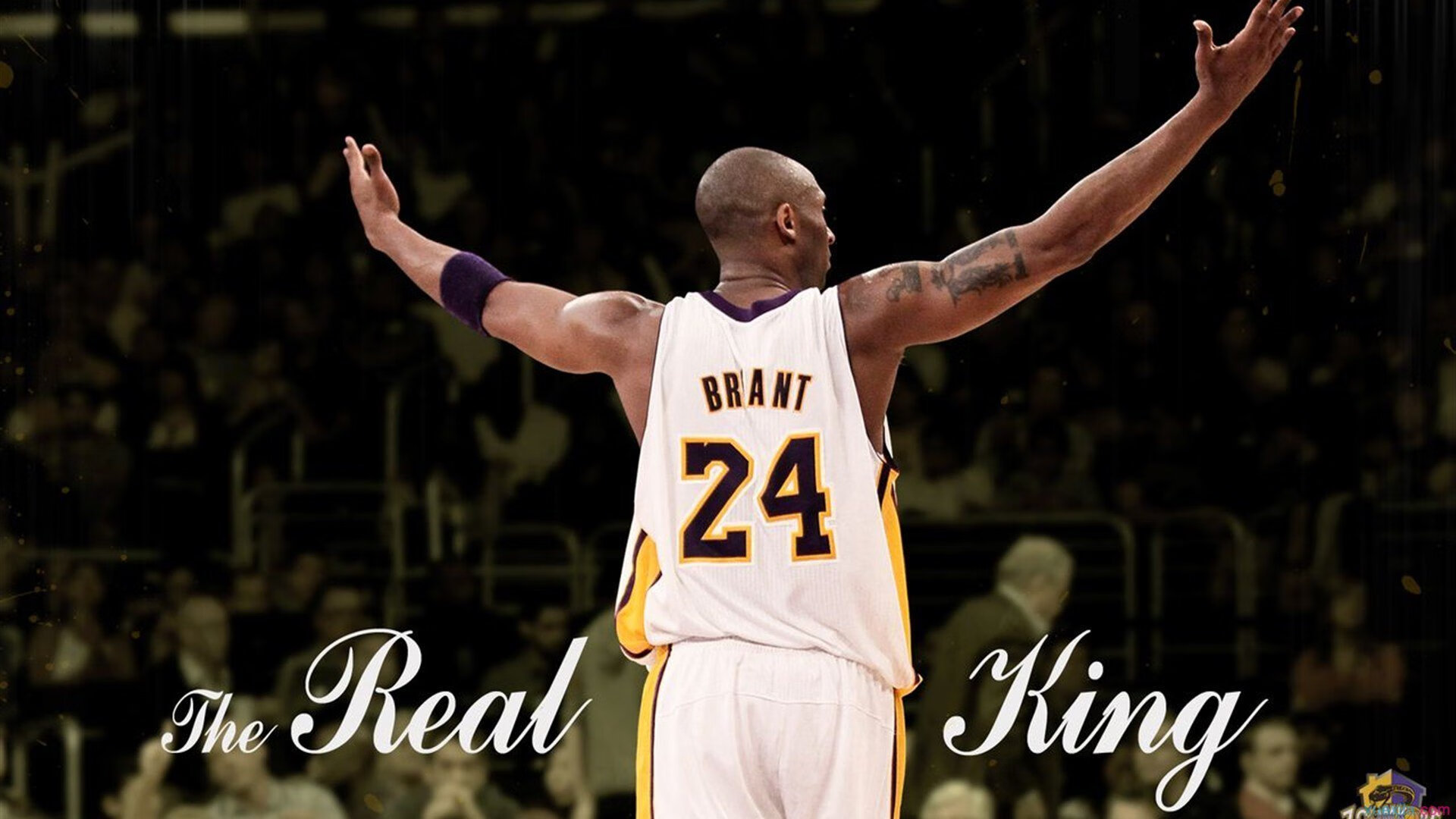 Jiu You-赛后数据揭秘：谁是速度之王？，速度选手