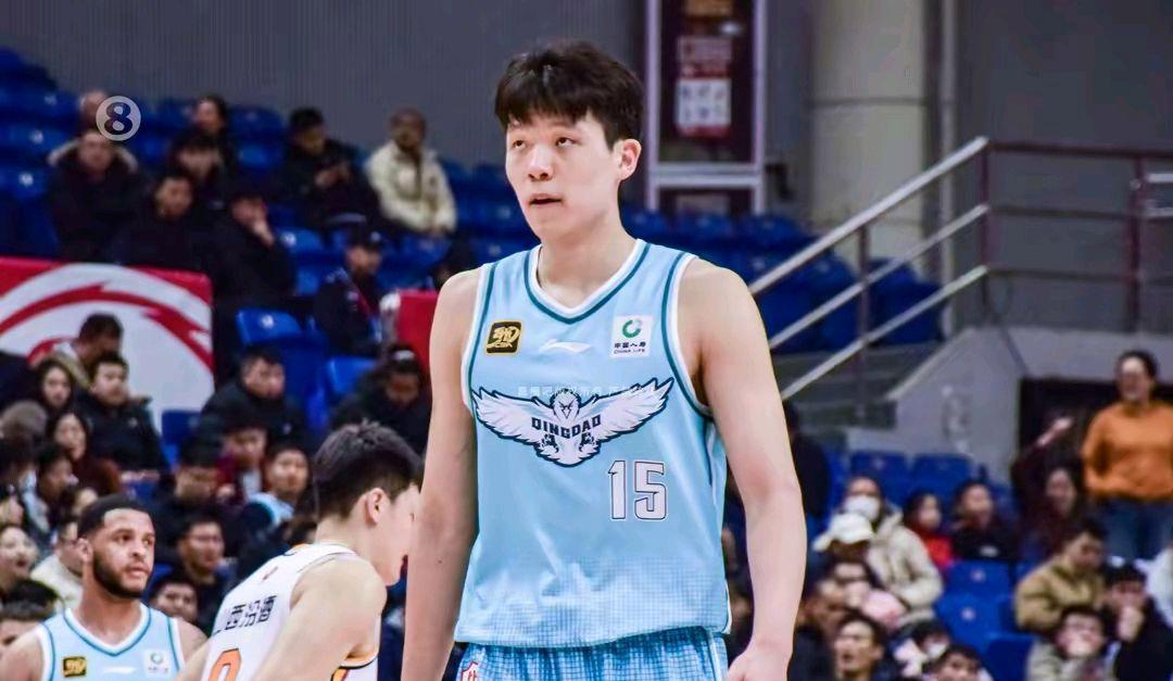 包含杨瀚森：下一个NBA中国球员？的词条