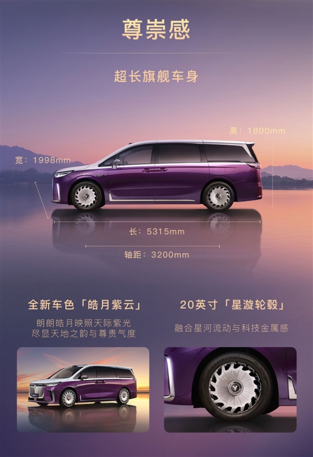 关于本土球员表现分析：谁是国产MVP？的信息